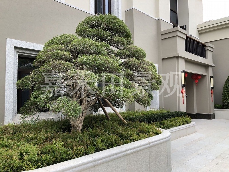 如何選擇專業(yè)的景觀設(shè)計(jì)師或施工隊(duì)伍？